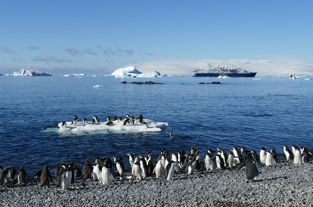 南極を訪れる前にこれだけは知っておきたい5つのポイント T Lifeクルーズ 日本発着クルーズ旅行 海外発着クルーズツアー