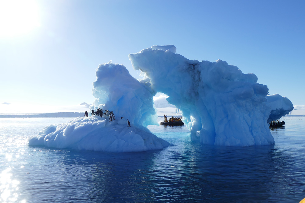 南極を訪れる前にこれだけは知っておきたい5つのポイント T Lifeクルーズ 日本発着クルーズ旅行 海外発着クルーズツアー